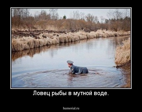 Ловец рыбы в мутной воде.
