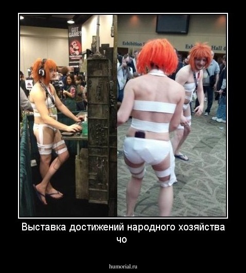 Выставка достижений народного хозяйства чо