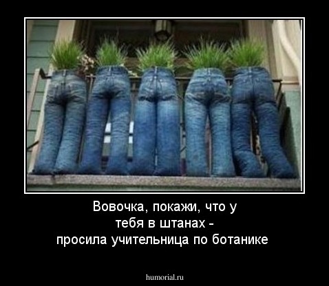 Вовочка, покажи, что у тебя в штанах - просила учительница по ботанике