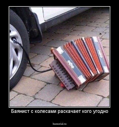 Баянист с колесами раскачает кого угодно
