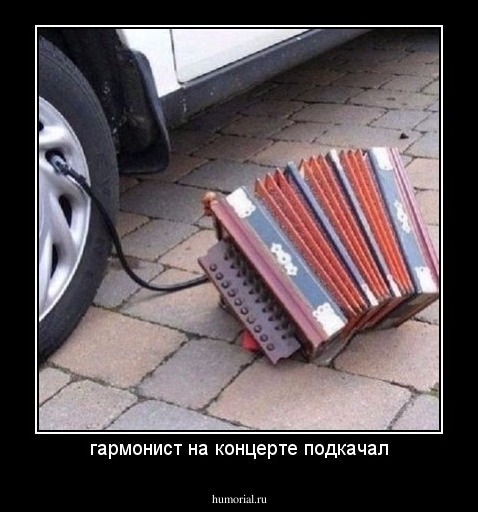 гармонист на концерте подкачал