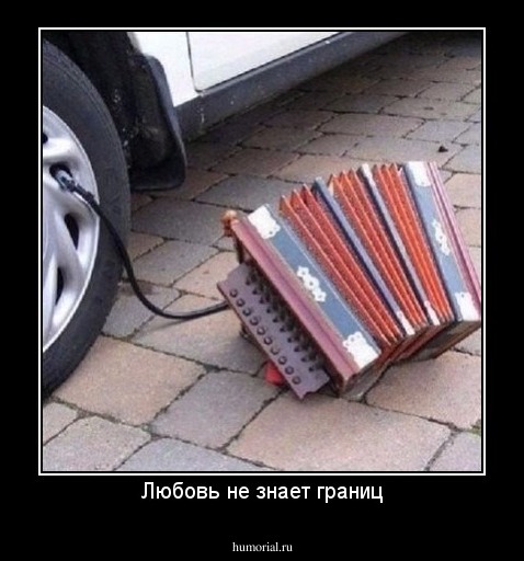 Любовь не знает границ