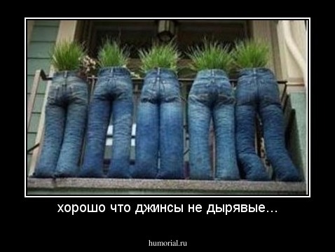 хорошо что джинсы не дырявые...