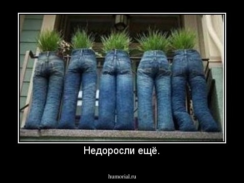Недоросли ещё.