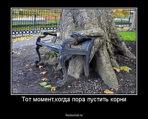 Тот момент,когда пора пустить корни