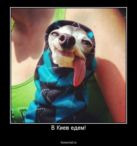 В Киев едем!