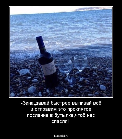 -Зина,давай быстрее выпивай всё и отправим это проклятое послание в бутылке,чтоб нас спасли!
