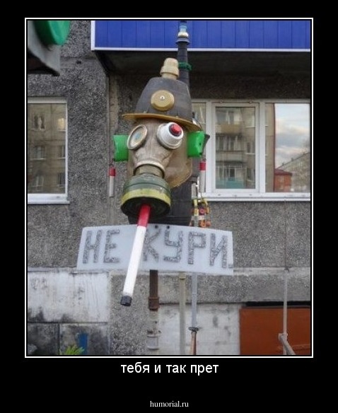 тебя и так прет