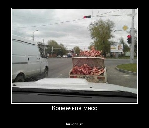 Копеечное мясо