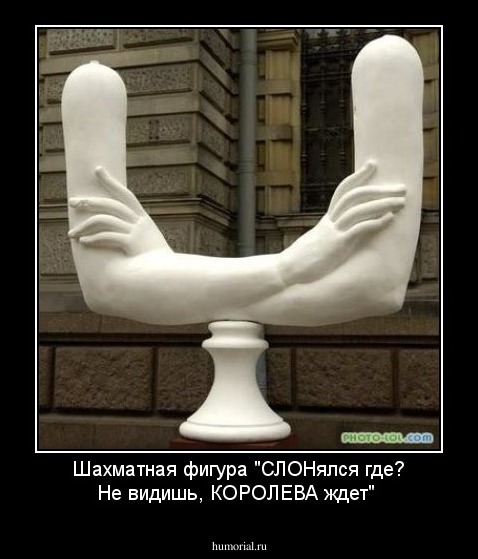 Шахматная фигура "СЛОНялся где? Не видишь, КОРОЛЕВА ждет"