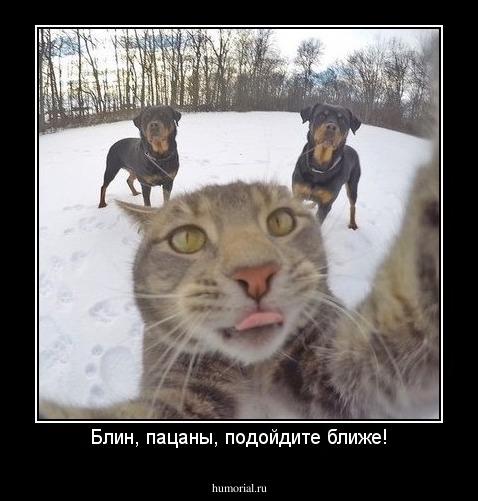 Блин, пацаны, подойдите ближе!