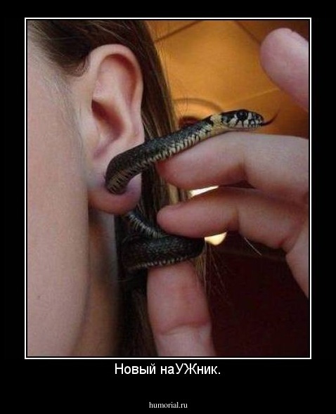 Новый наУЖник.