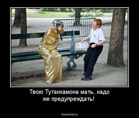 Твою Тутанхамона мать, надо же предупреждать!