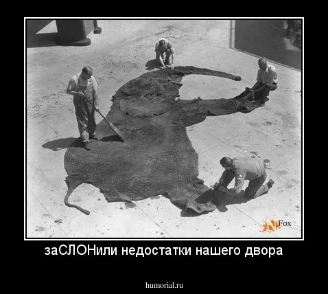 заСЛОНили недостатки нашего двора