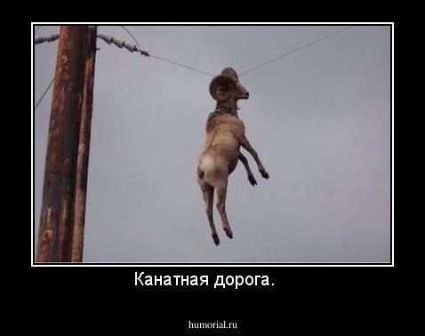 Канатная дорога.   
