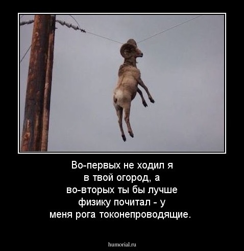 Во-первых не ходил я  в твой огород, а во-вторых ты бы лучше физику почитал - у меня рога токонепроводящие.
