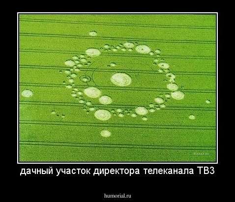 дачный участок директора телеканала ТВ3