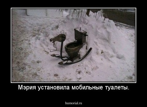 Мэрия установила мобильные туалеты.