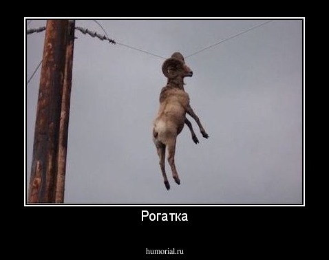 Рогатка