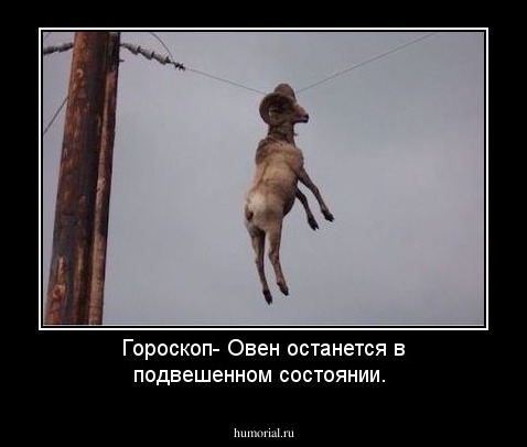 Гороскоп- Овен останется в подвешенном состоянии.