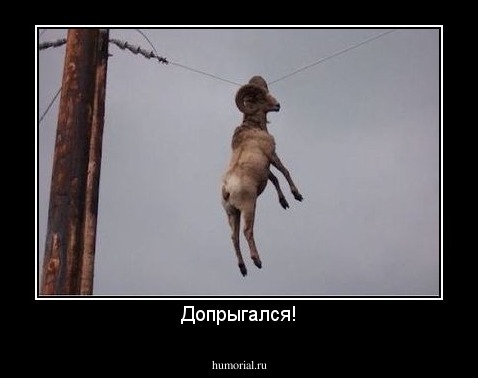 Допрыгался!