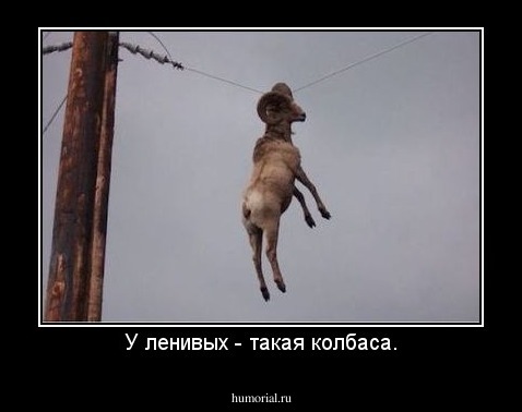 У ленивых - такая колбаса.