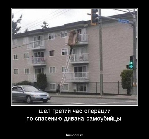 шёл третий час операции по спасению дивана-самоубийцы 
