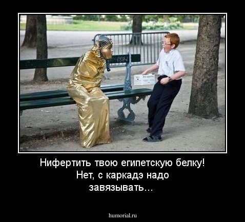 Нифертить твою египетскую белку! Нет, с каркадэ надо завязывать...