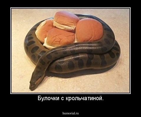 Булочки с крольчатиной.