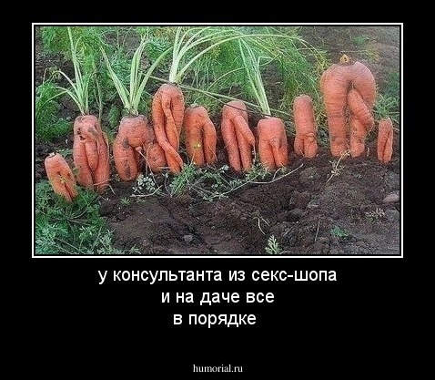 у консультанта из секс-шопа и на даче все в порядке