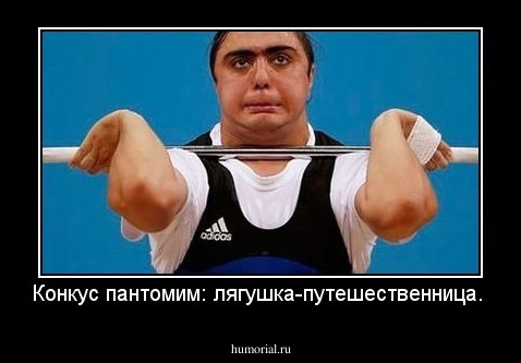 Конкус пантомим: лягушка-путешественница.