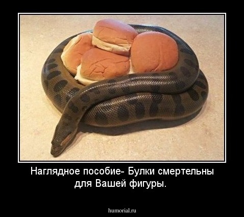 Наглядное пособие- Булки смертельны для Вашей фигуры.