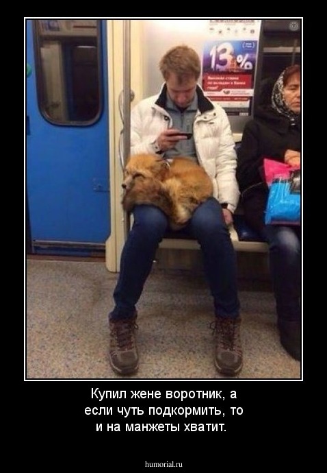 Купил жене воротник, а если чуть подкормить, то и на манжеты хватит.