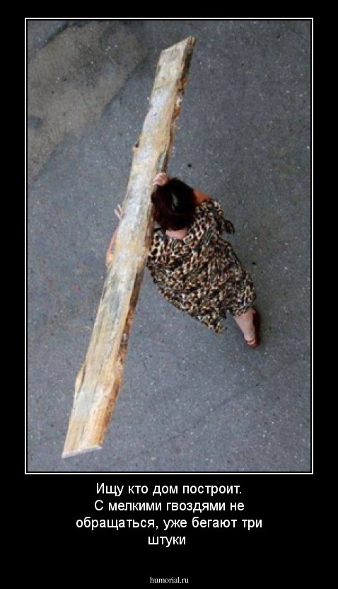 Ищу кто дом построит. С мелкими гвоздями не обращаться, уже бегают три штуки