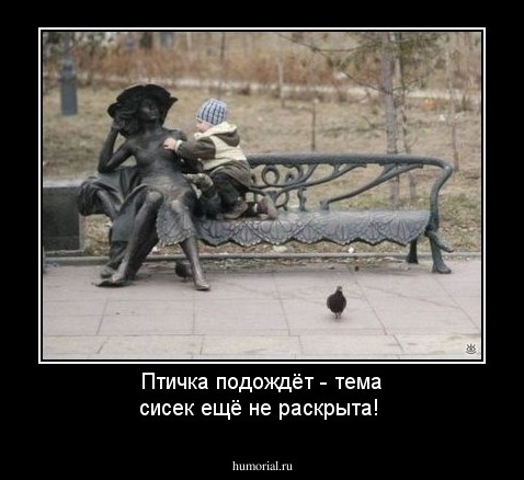 Птичка подождёт - тема сисек ещё не раскрыта!