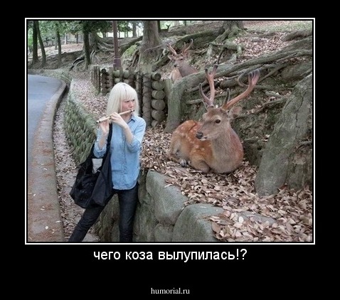 чего коза вылупилась!?