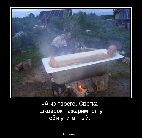 -А из твоего, Светка, шкварок нажарим. он у тебя упитанный...