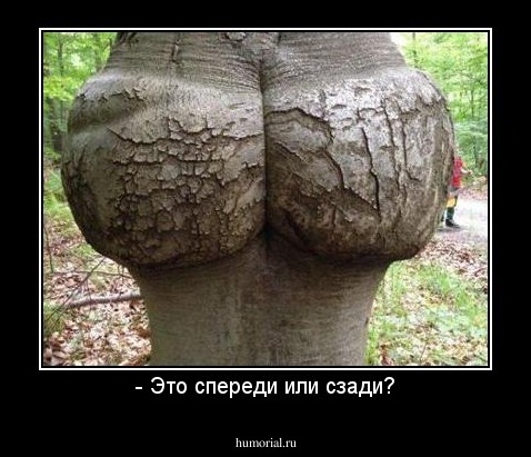 - Это спереди или сзади?