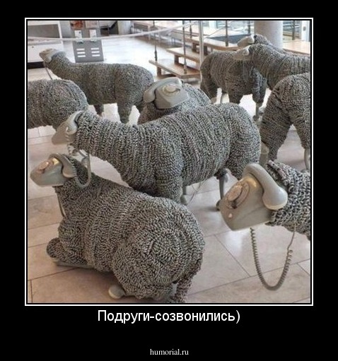Подруги-созвонились)