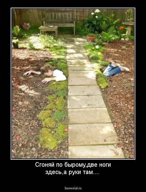 Сгоняй по бырому,две ноги здесь,а руки там…