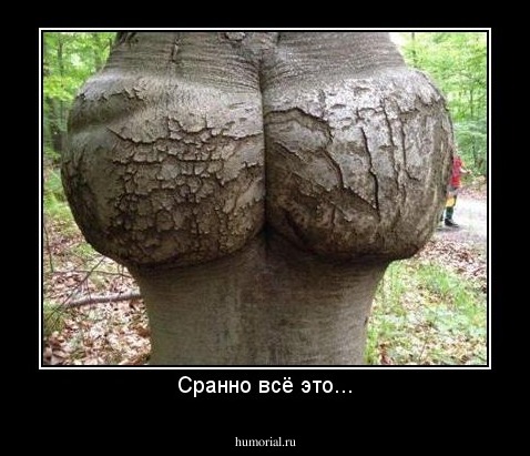Сранно всё это...