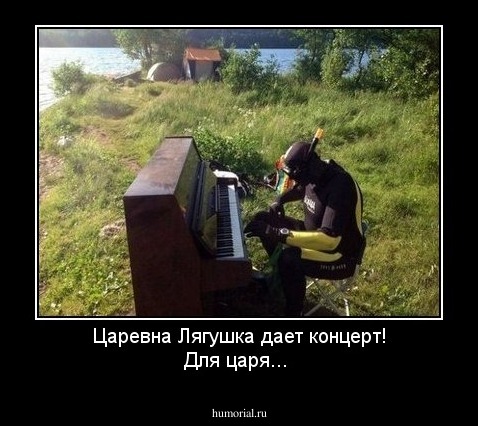 Царевна Лягушка дает концерт! Для царя...