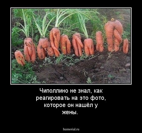Чиполлино не знал, как реагировать на это фото, которое он нашёл у жены.