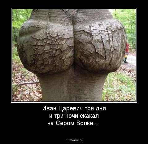Иван Царевич три дня и три ночи скакал на Сером Волке...