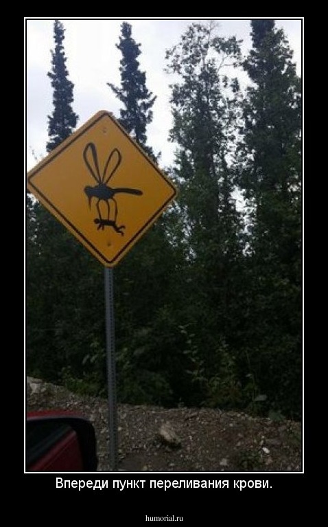 Впереди пункт переливания крови.