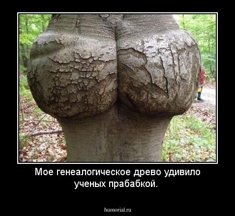 Мое генеалогическое древо удивило ученых  прабабкой.