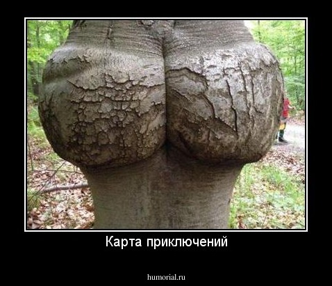 Карта приключений