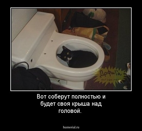 Вот соберут полностью и будет своя крыша над головой.