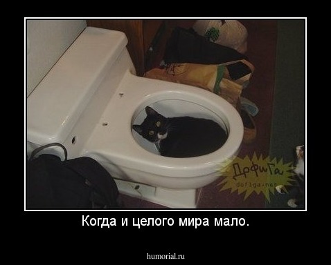 Когда и целого мира мало.