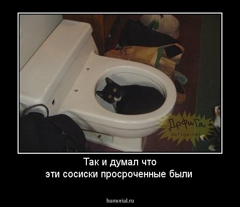 Так и думал что эти сосиски просроченные были
